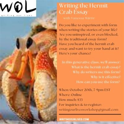 What is a Hermit Crab Essay and How Can It Illustrate Adaptation in Nature?