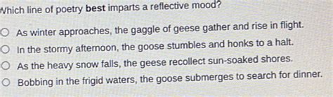 Which Line of Poetry Best Imparts a Reflective Mood? A Deep Dive into the Arts of Expression